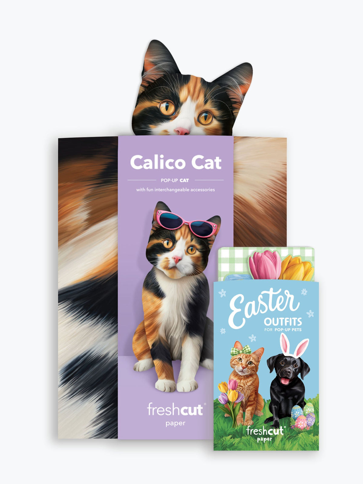 Pop-Up Easter Cat