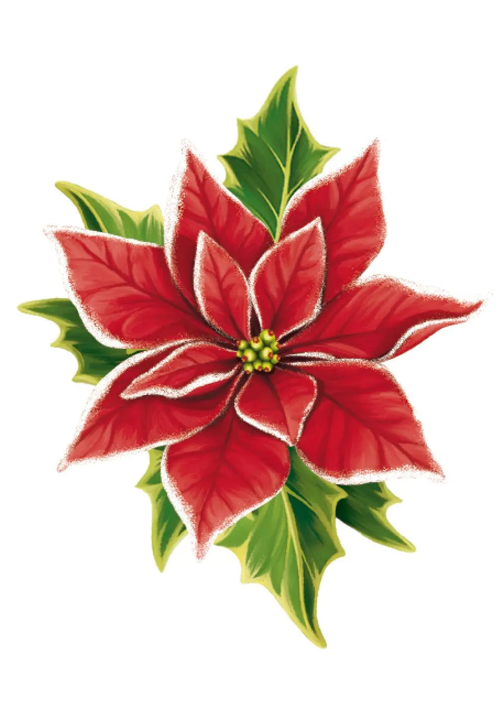 Poinsettia Card