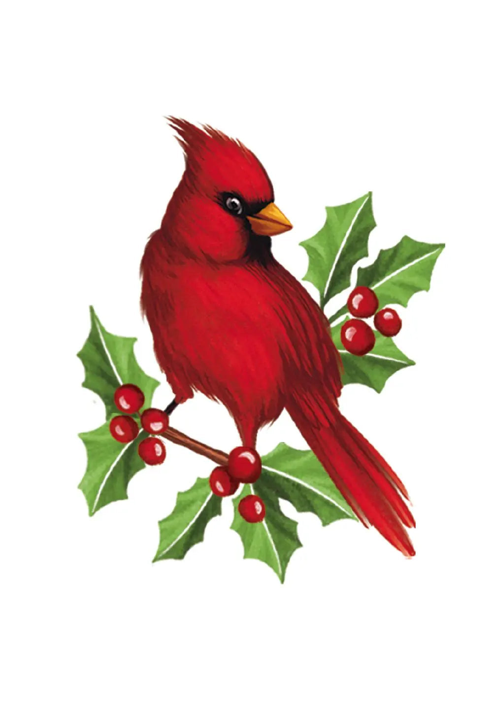 Winter Cardinal Card
