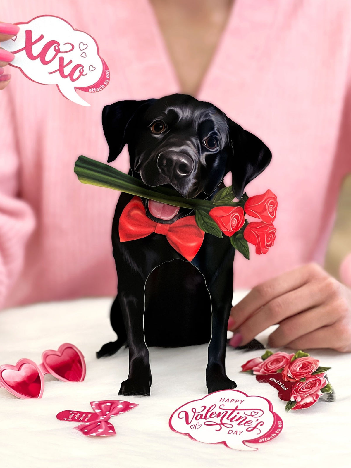 Valentine's Day Black Lab Pop-Up Card