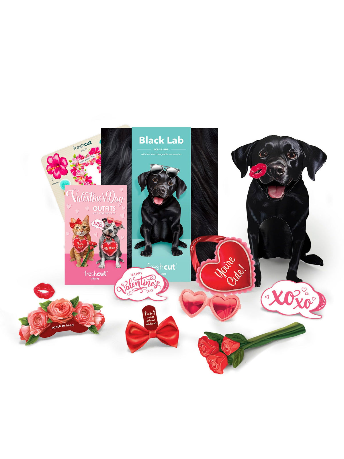 Valentine's Day Black Lab Pop-Up Card