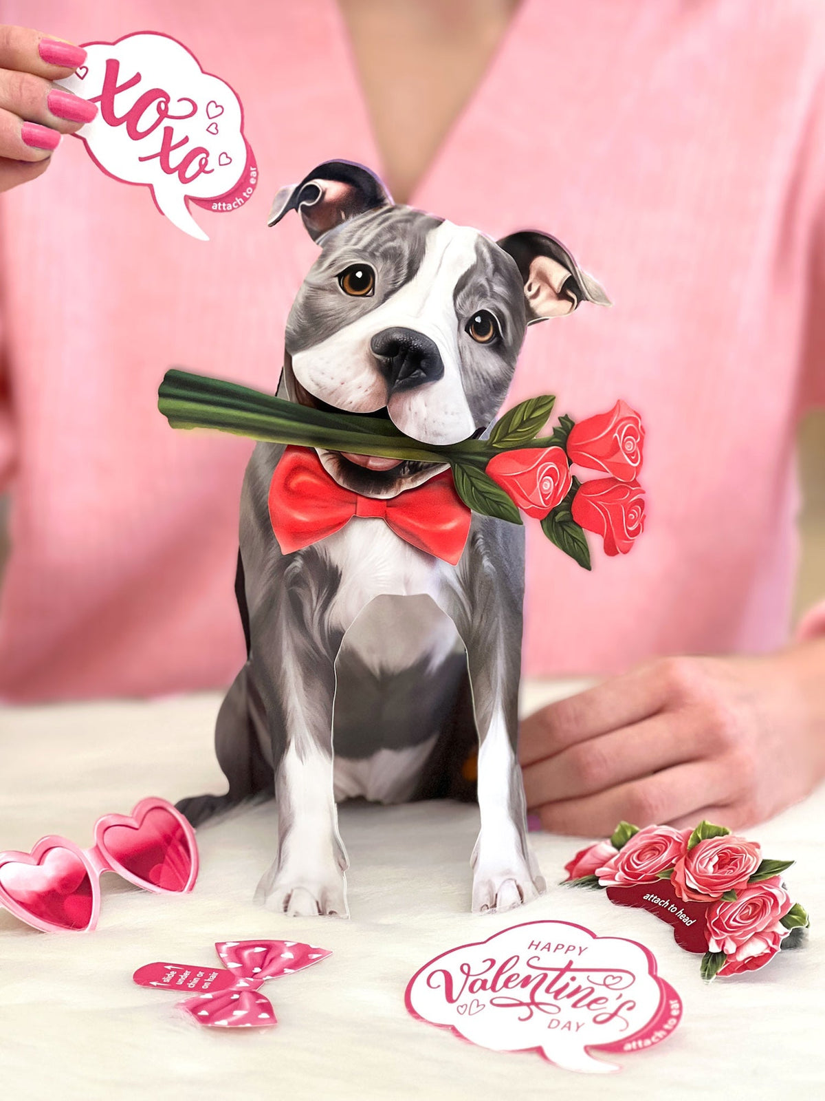 Valentine's Day Gray Pitbull Pop-Up Card