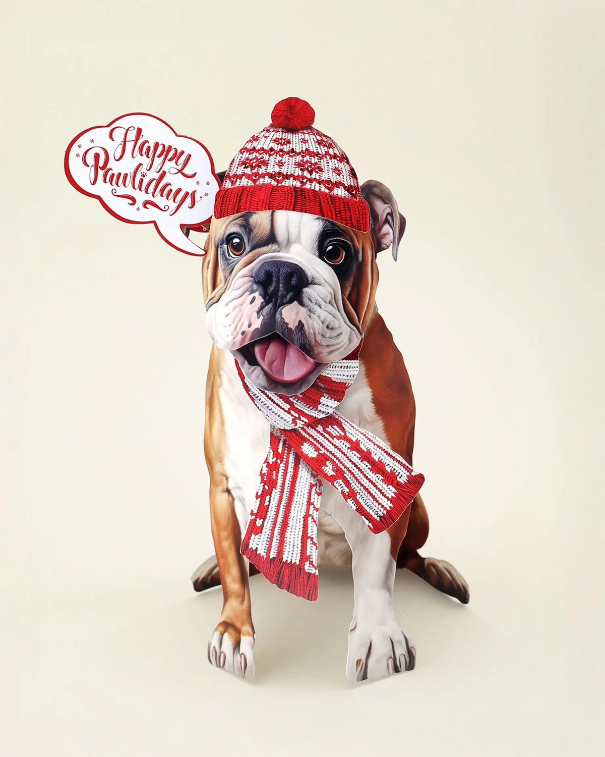 Holiday English Bulldog