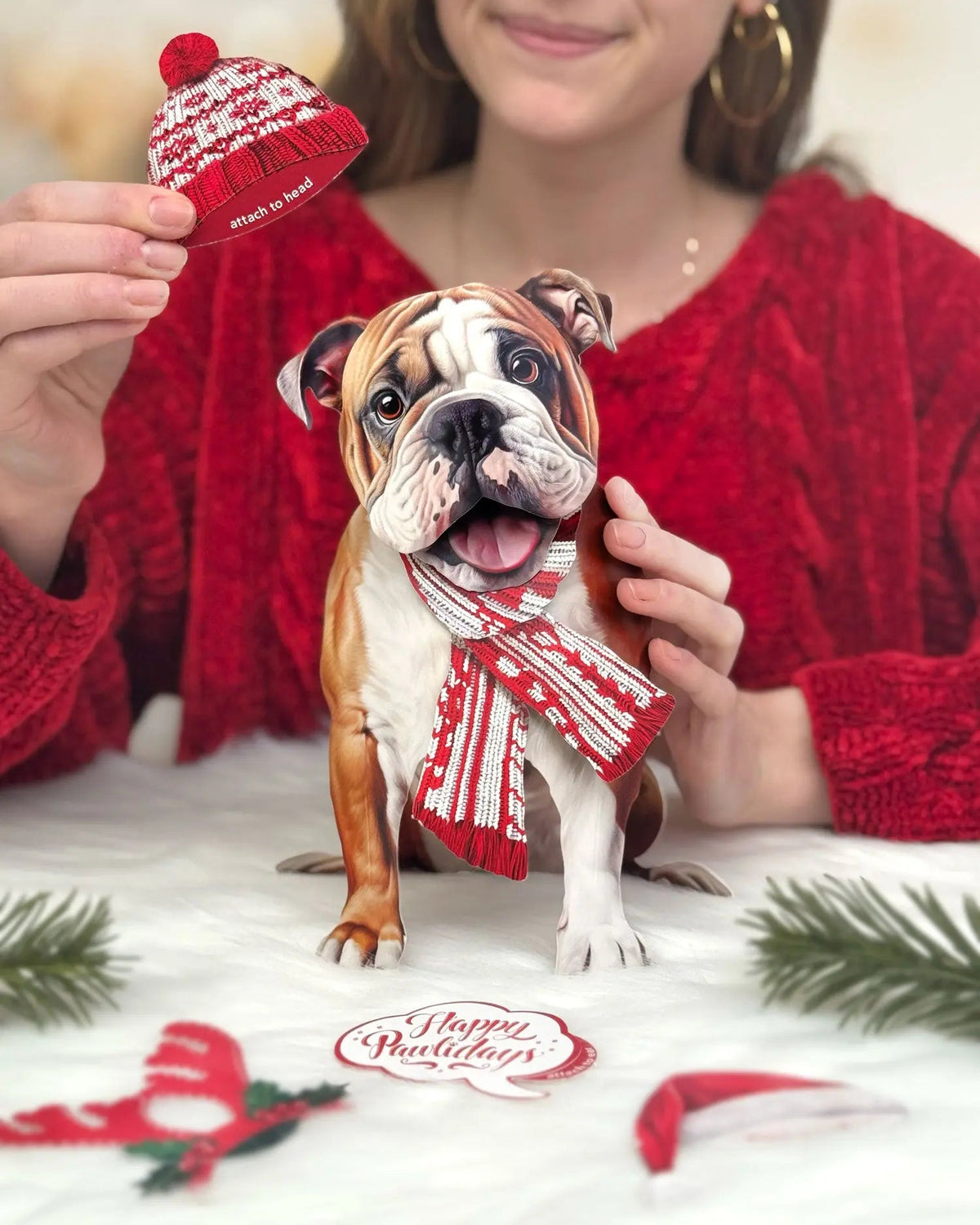 Holiday English Bulldog