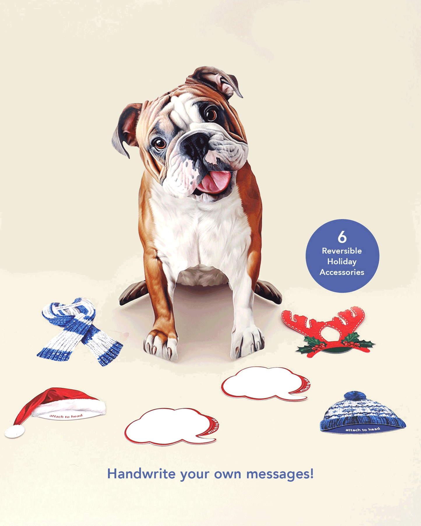 Holiday English Bulldog