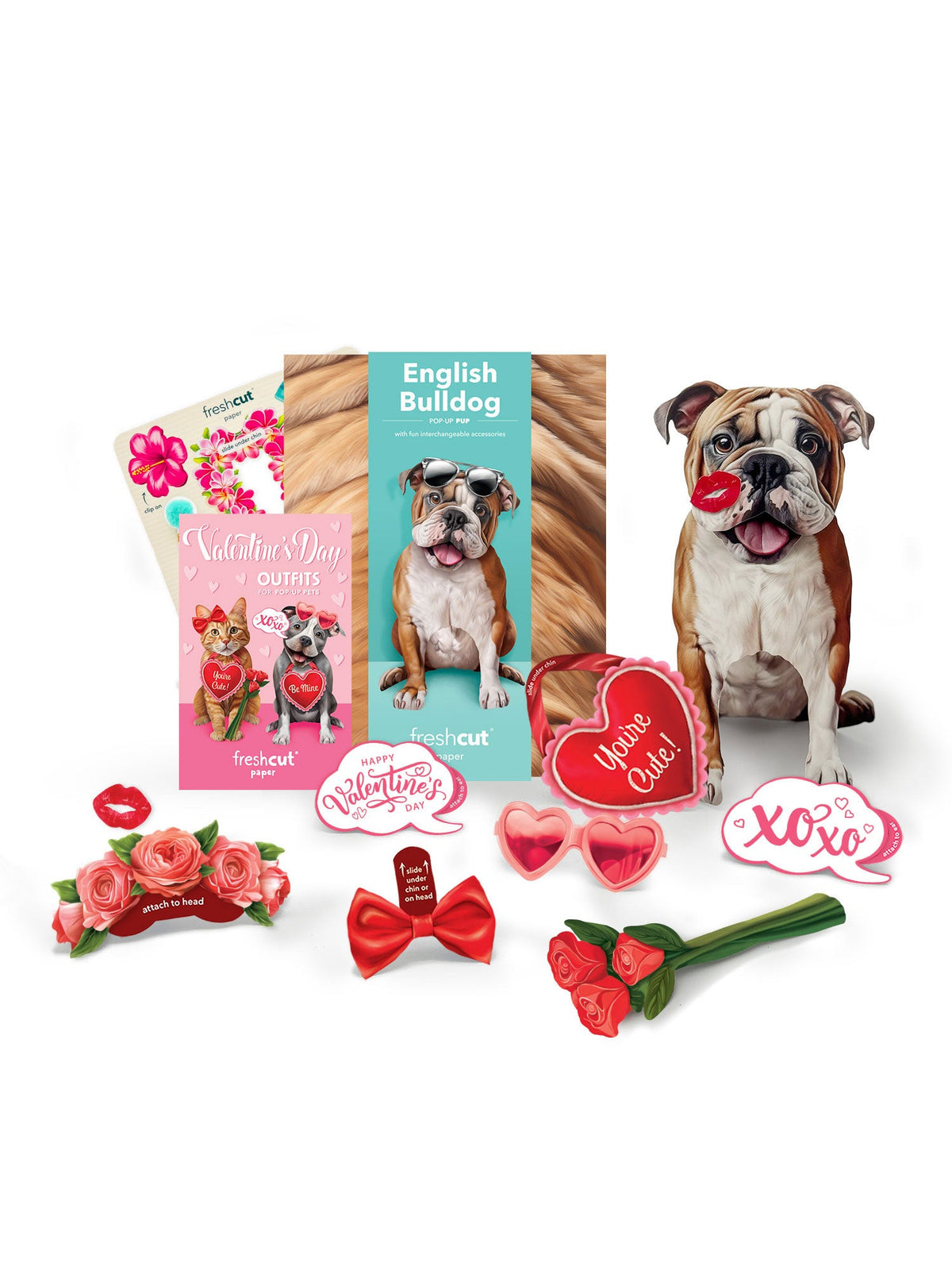 Valentine's Day English Bulldog Pop-Up Card