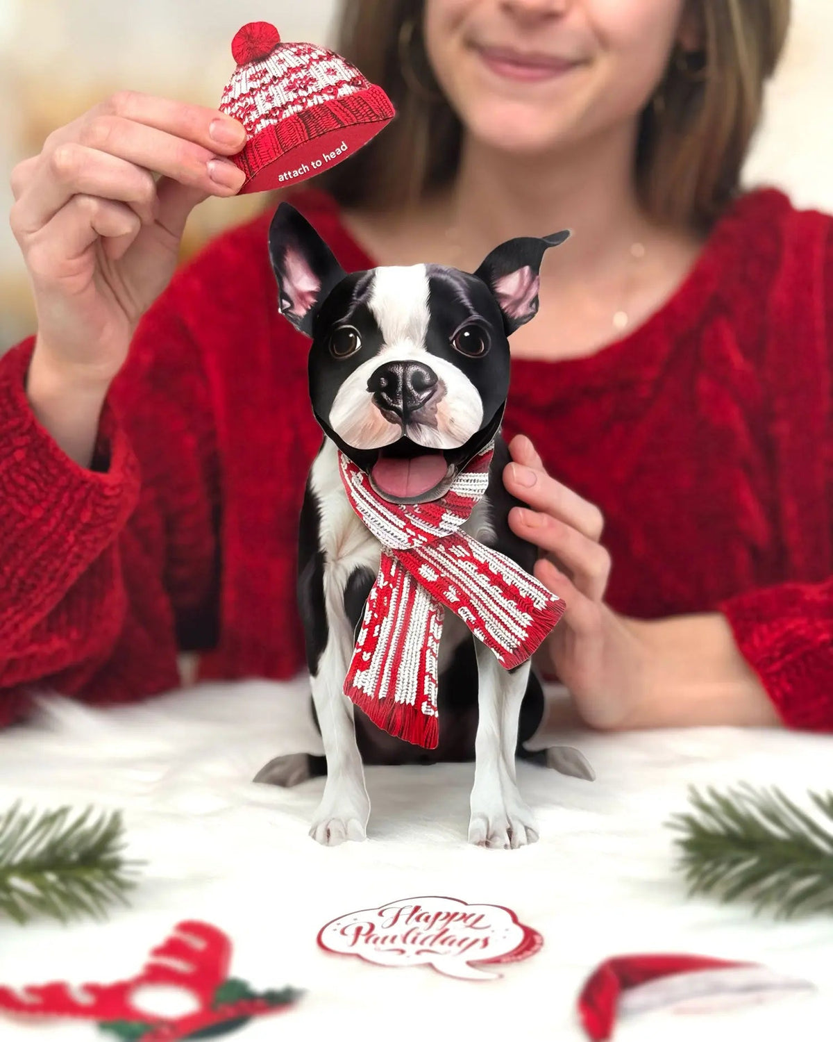 Holiday Boston Terrier