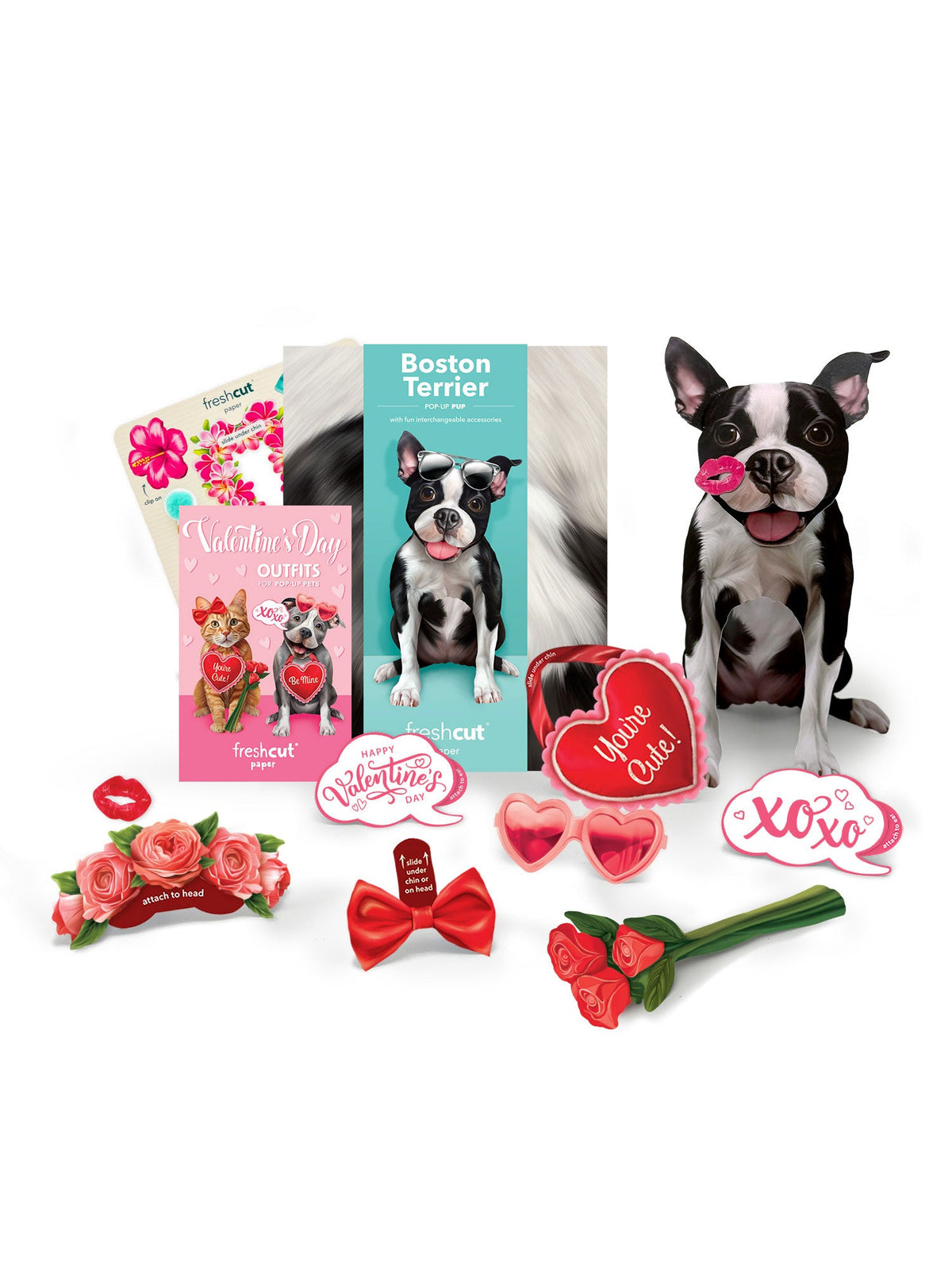 Valentine's Day Boston Terrier Pop-Up Card