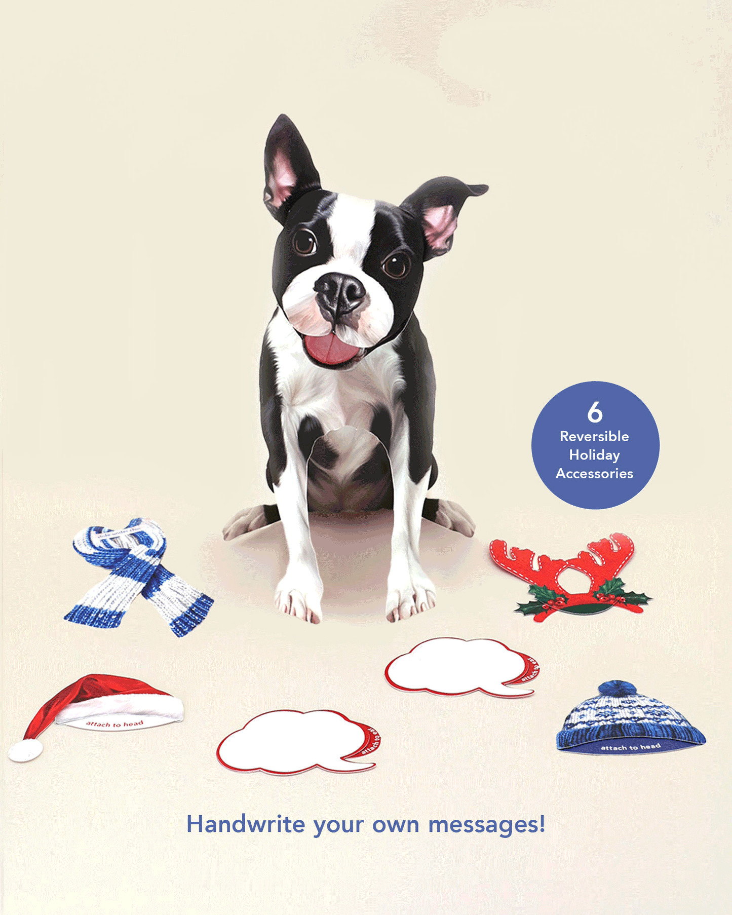 Holiday Boston Terrier