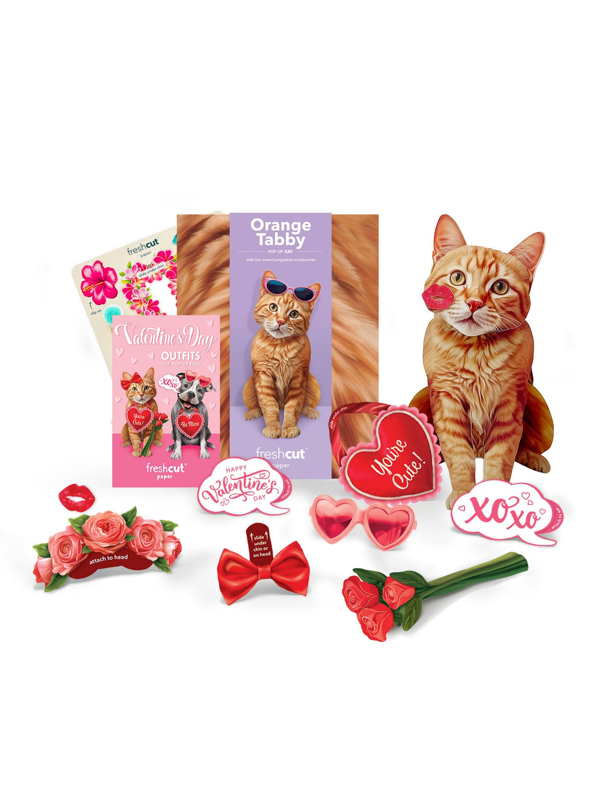 Valentine's Day Orange Tabby Cat Pop-Up Card