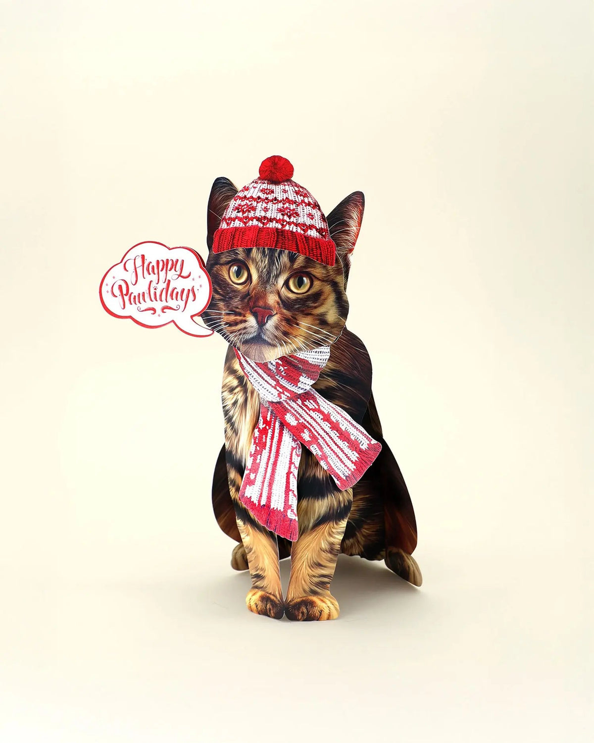 Holiday Brown Tabby Cat