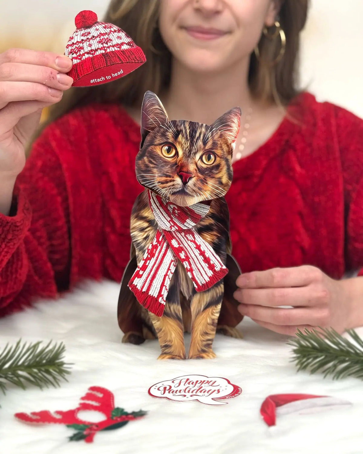 Holiday Brown Tabby Cat