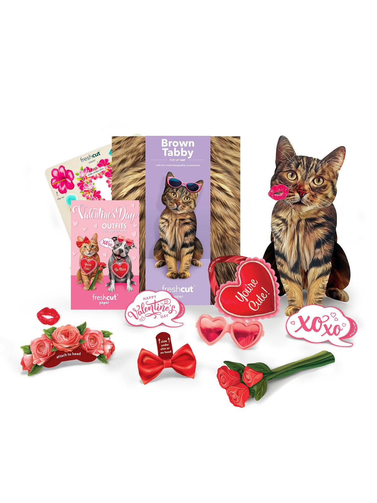 Valentine's Day Brown Tabby Cat Pop-Up Card