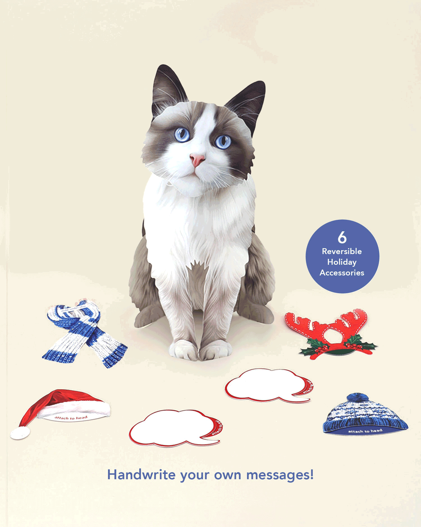 Holiday Ragdoll Cat