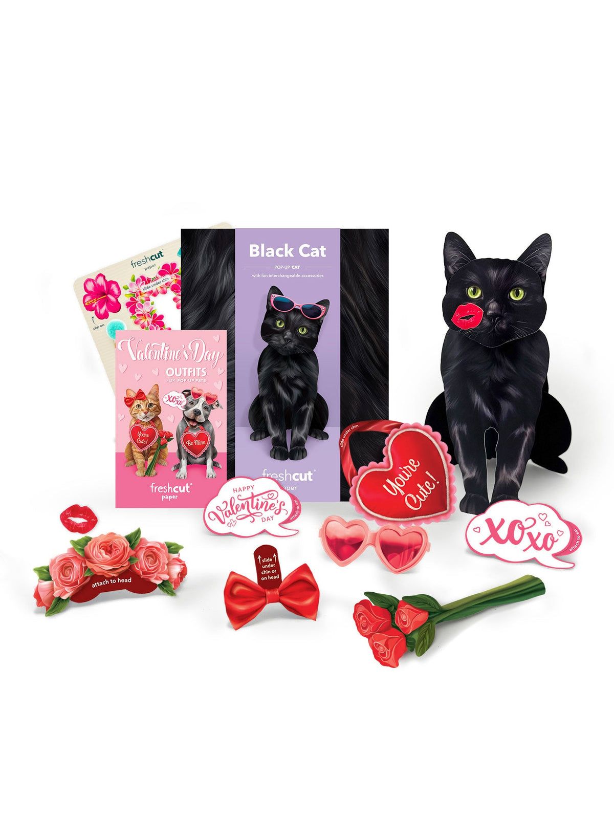 Valentine's Day Black Cat Pop-Up Card