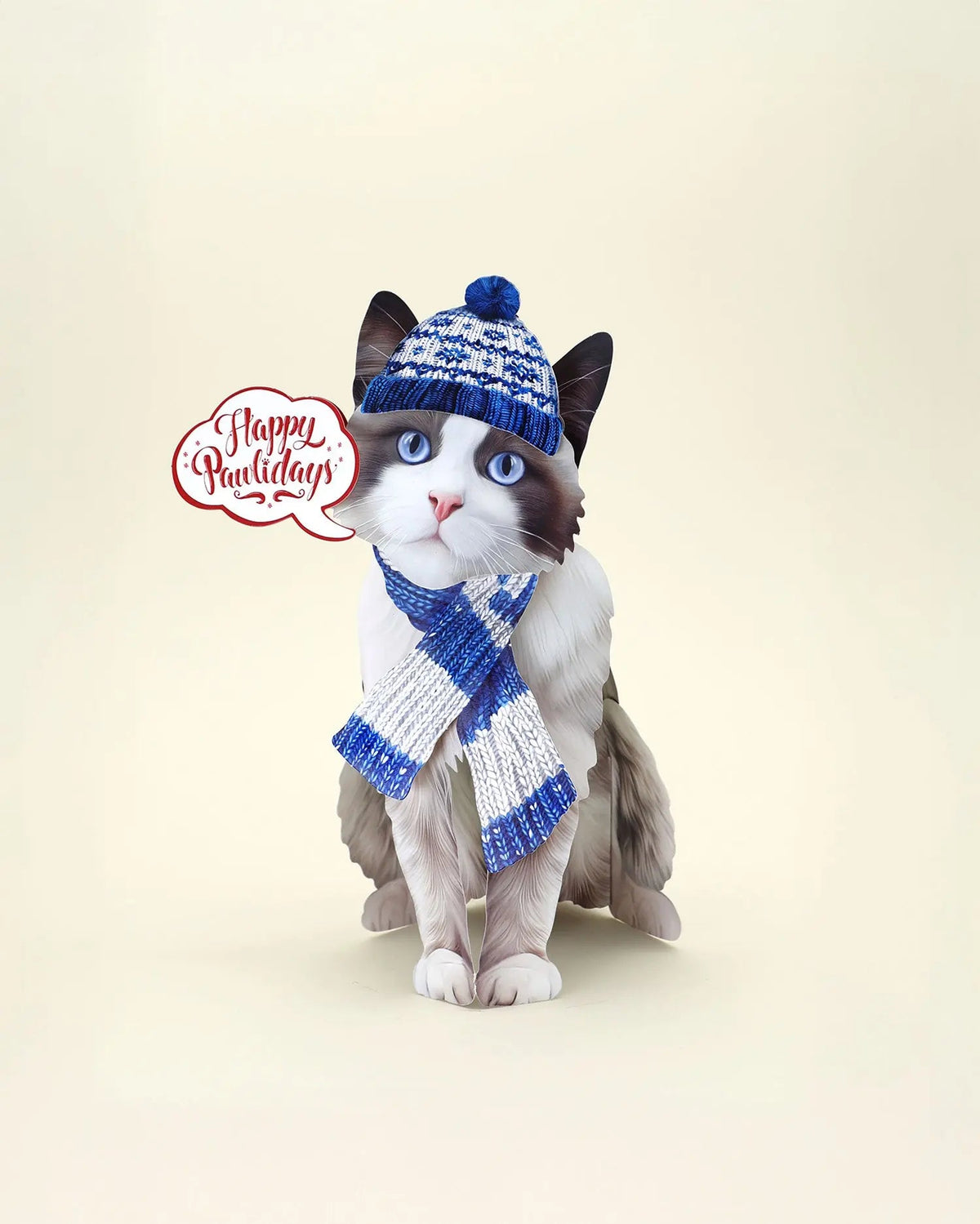 Holiday Ragdoll Cat