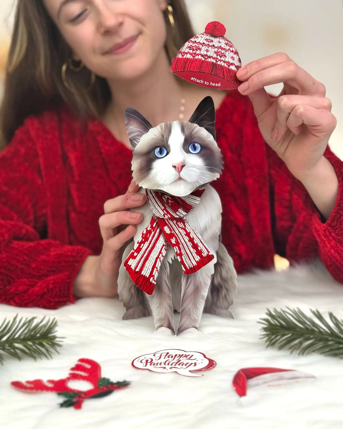 Holiday Ragdoll Cat