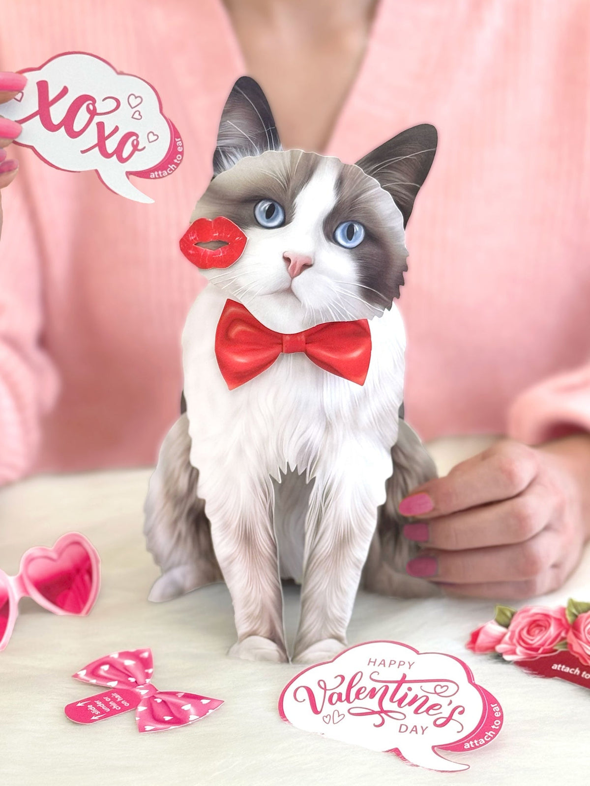 Valentine's Day Ragdoll Cat Pop-Up Card