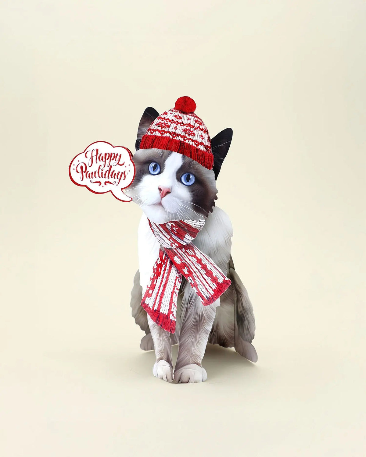 Holiday Ragdoll Cat