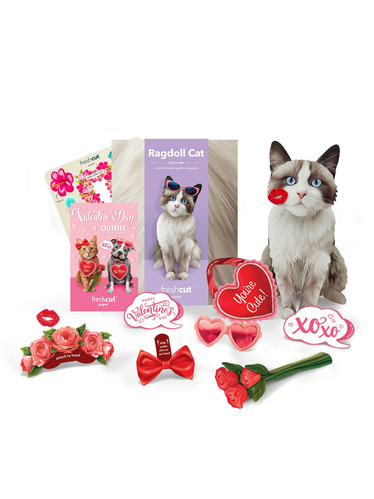 Valentine's Day Ragdoll Cat Pop-Up Card
