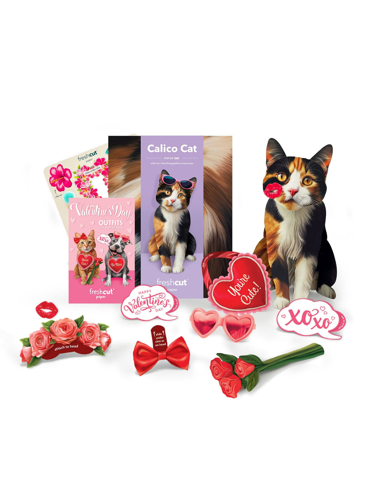 Valentine's Day Calico Cat Pop-Up Card