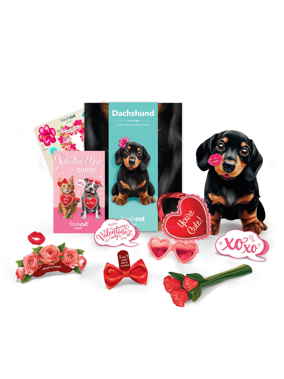 Valentine's Day Dachshund Pop-Up Card
