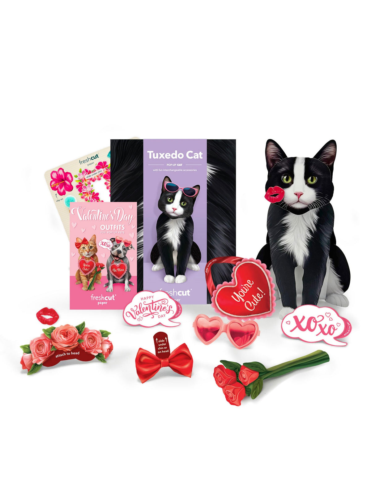 Valentine's Day Tuxedo Cat Pop-Up Card