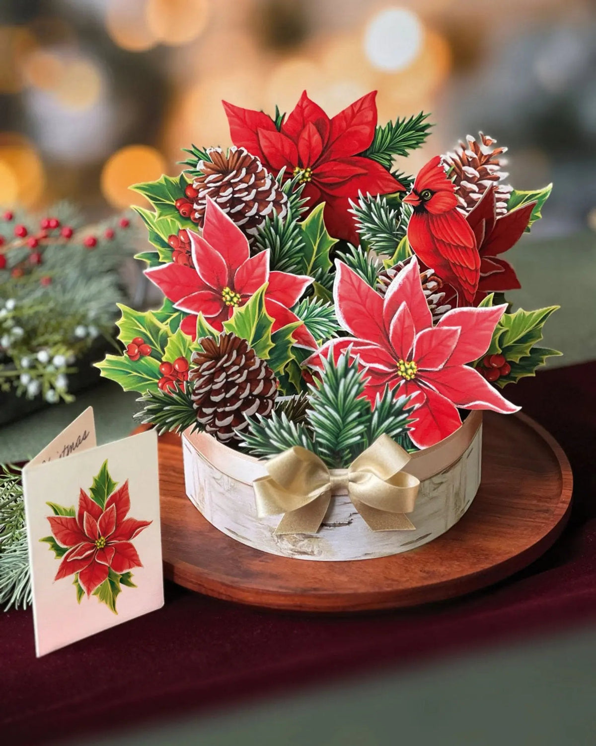 Birch Poinsettia