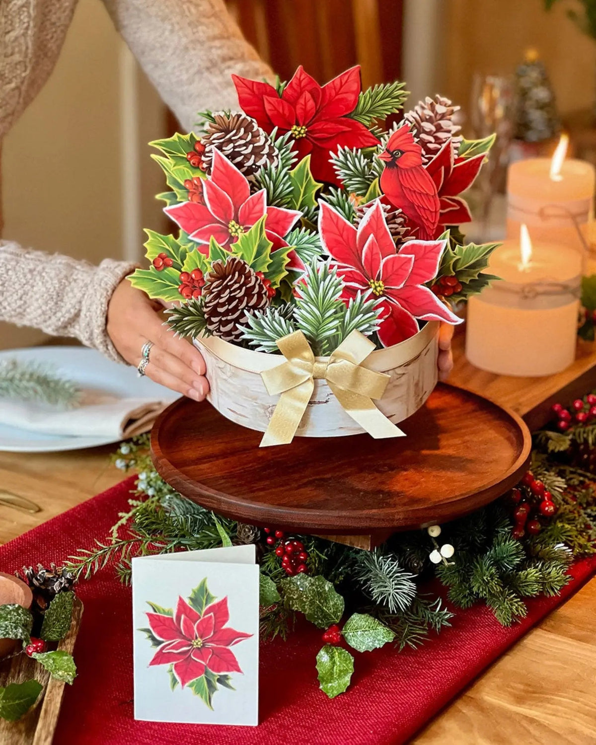 Birch Poinsettia