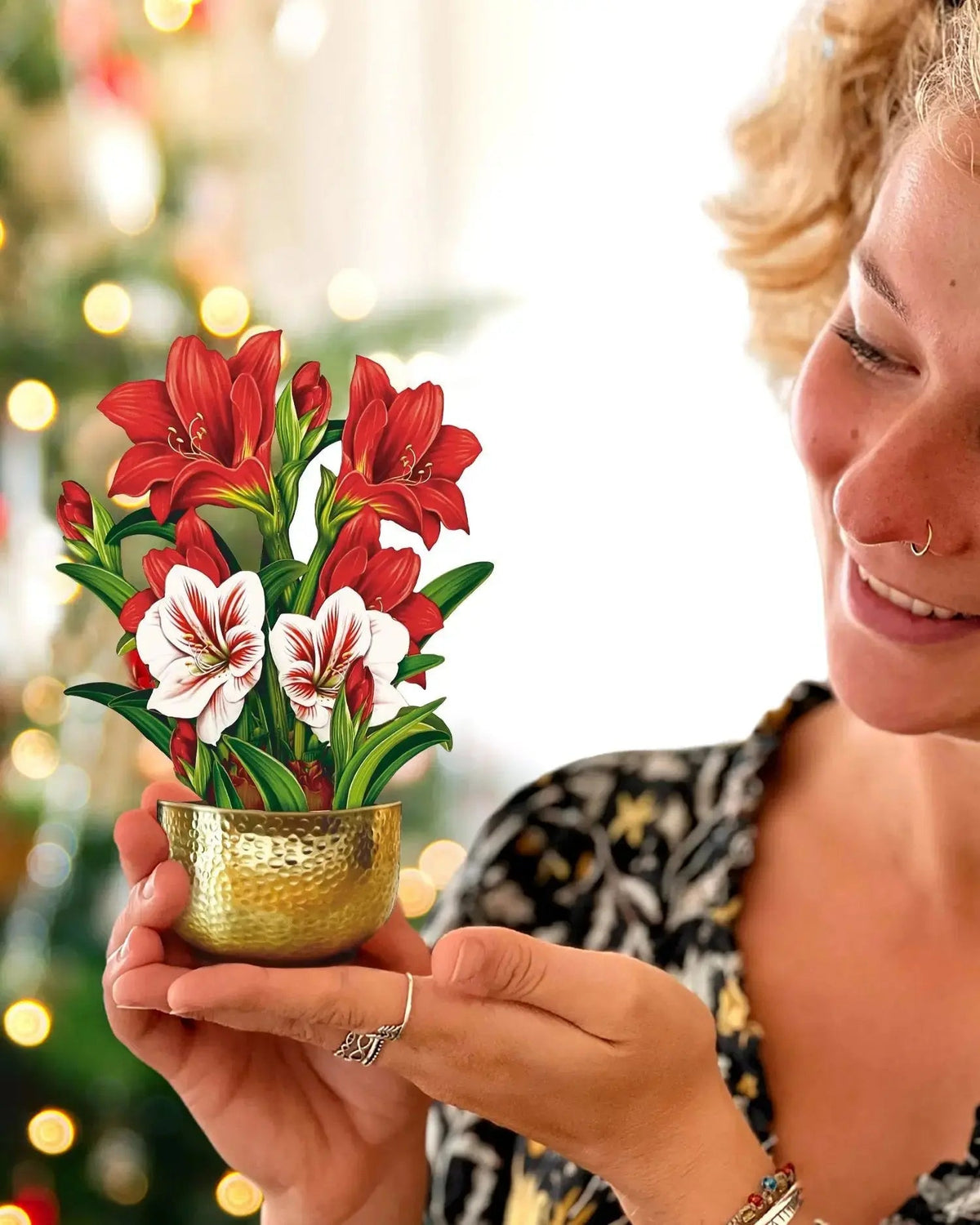 Mini Christmas Scarlet Amaryllis
