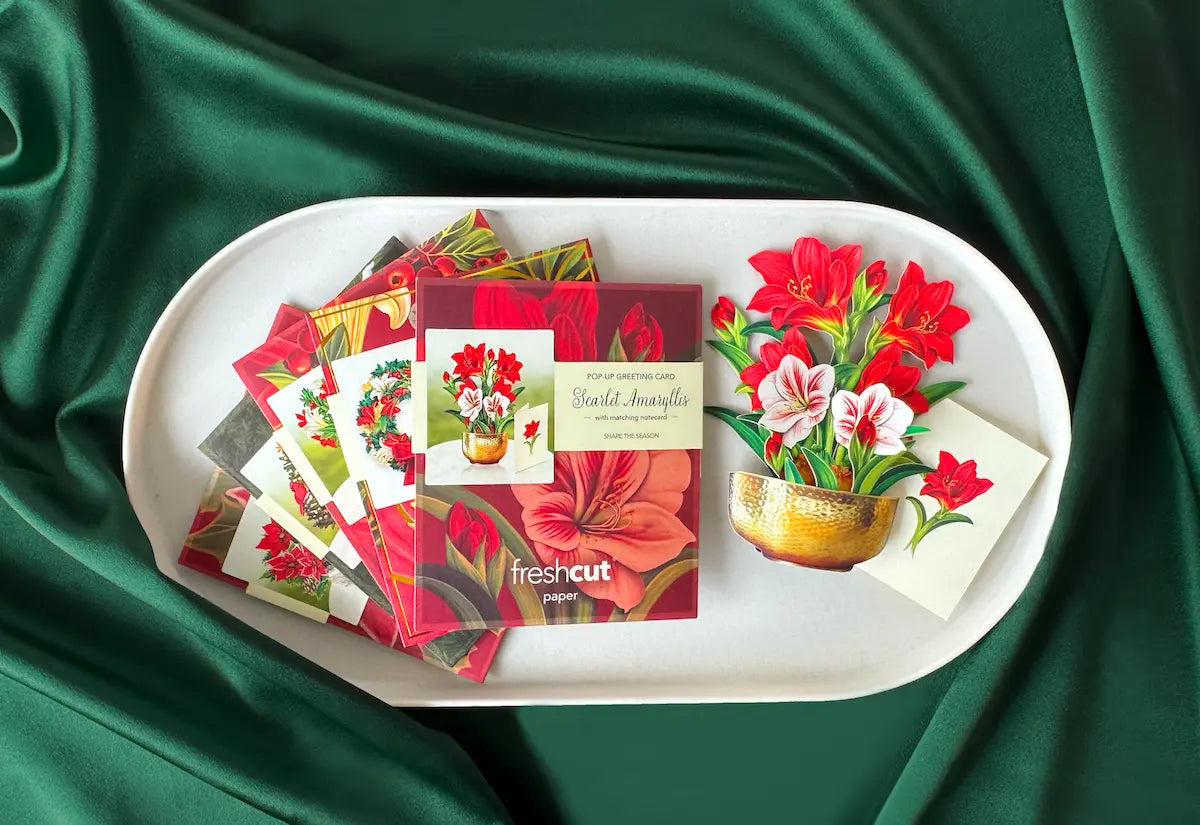 Holiday Favorites 5 Pack