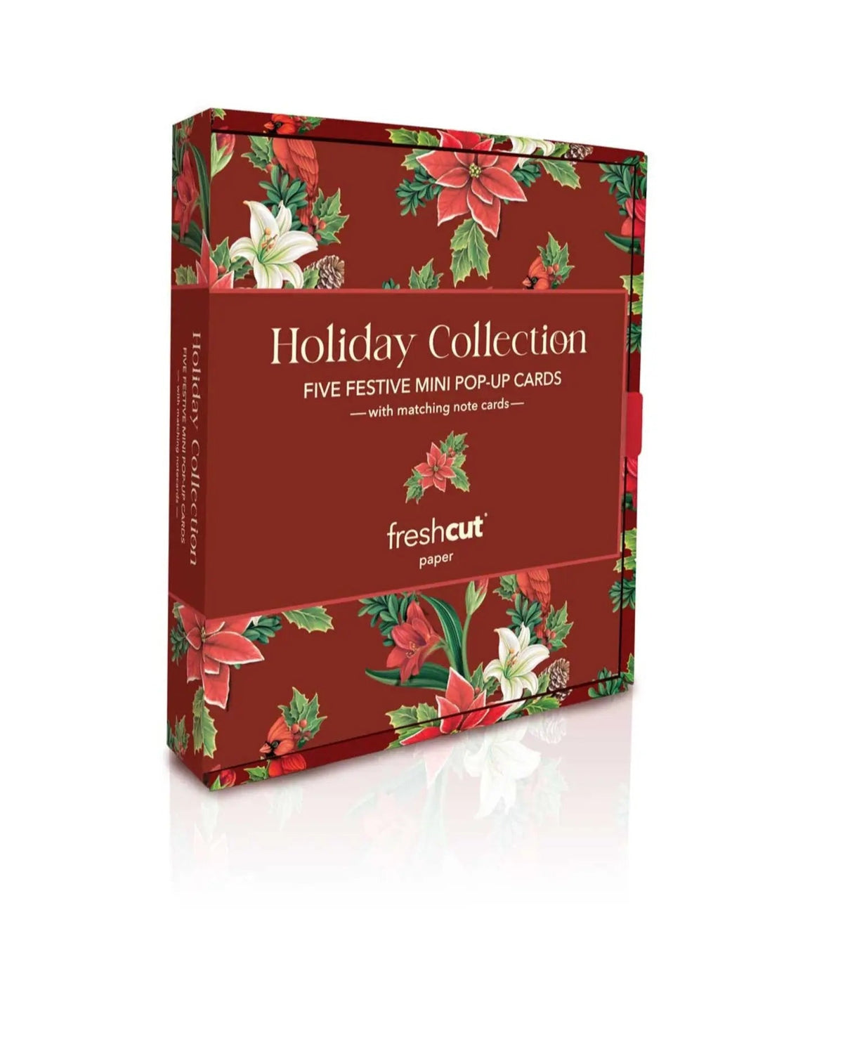 Holiday Favorites 5 Pack