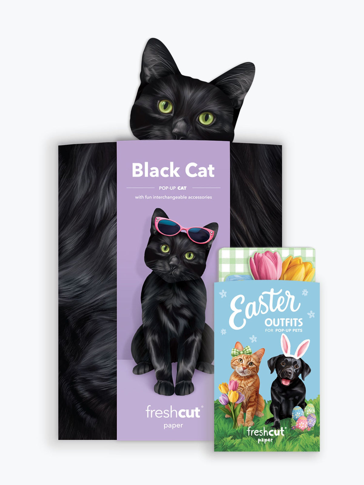 Pop-Up Easter Cat