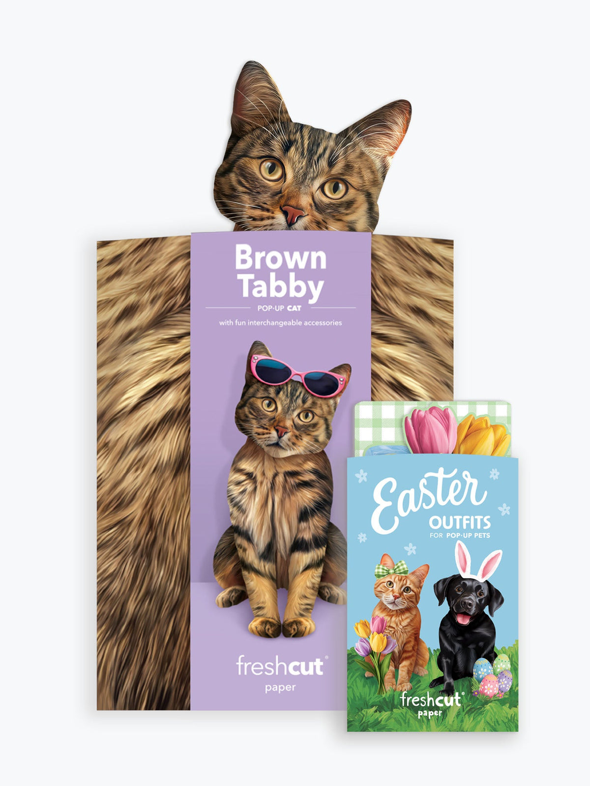 Pop-Up Easter Cat