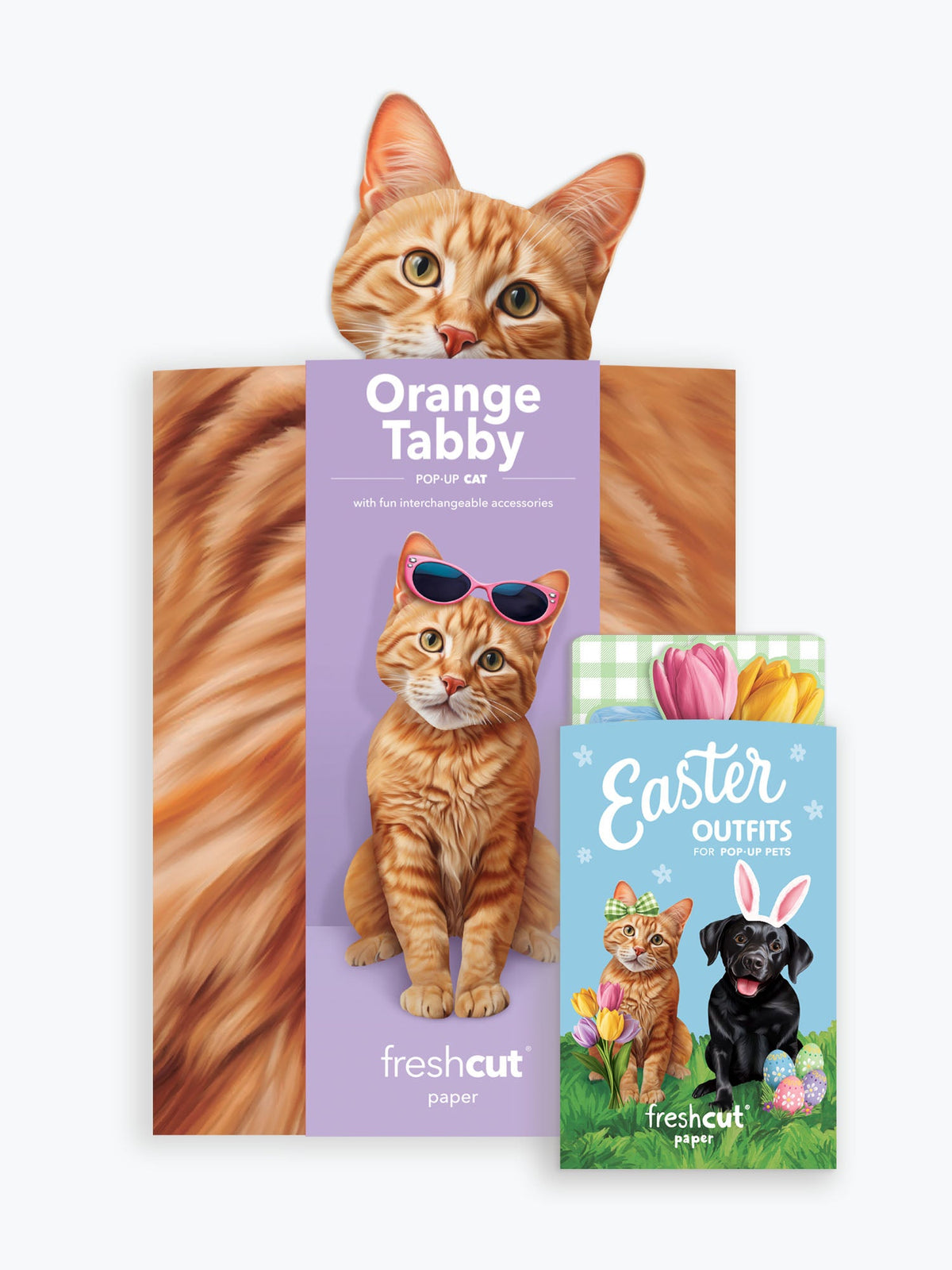 Pop-Up Easter Cat