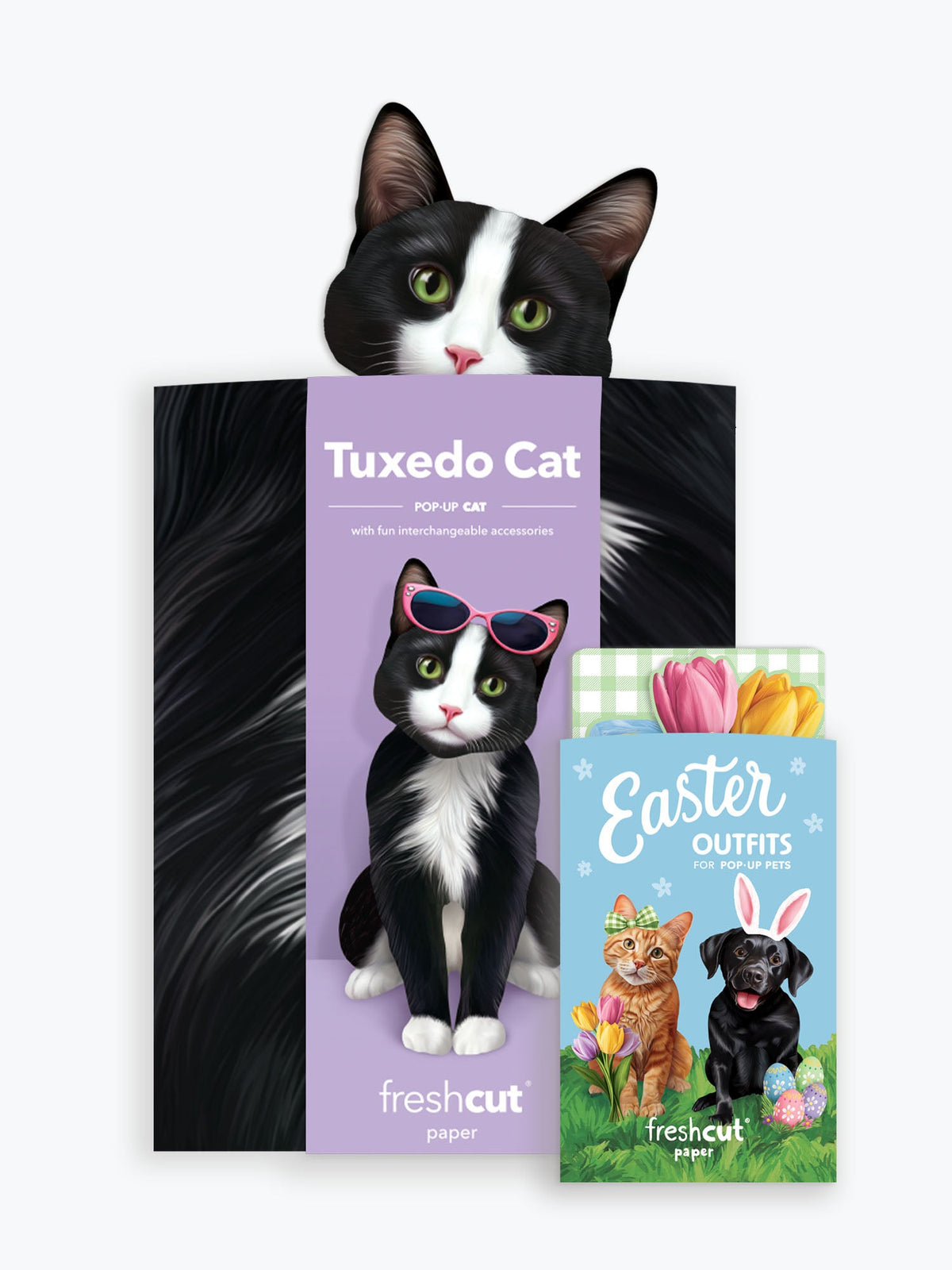 Pop-Up Easter Cat