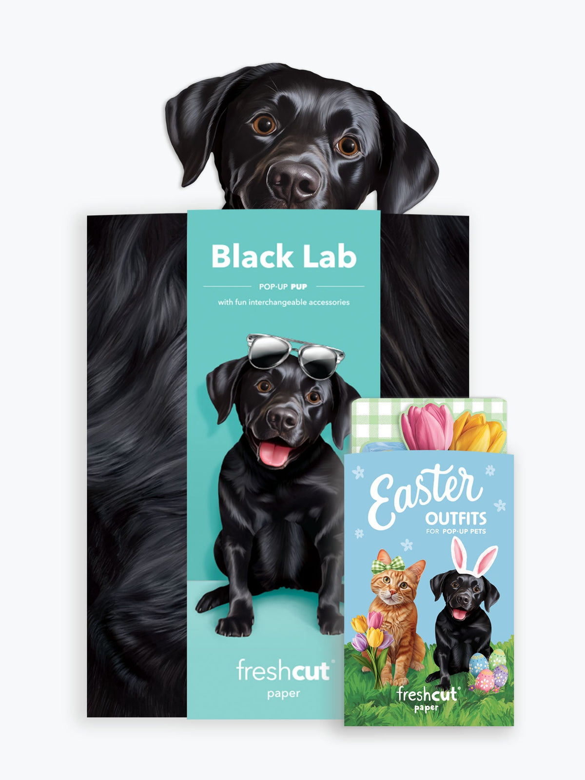 Pop-Up Easter Pup