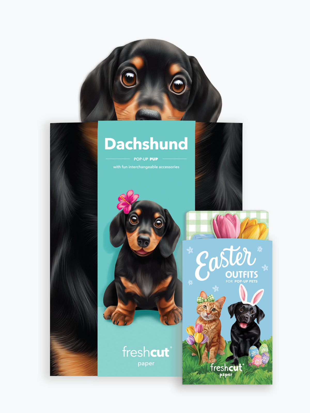 Pop-Up Easter Pup