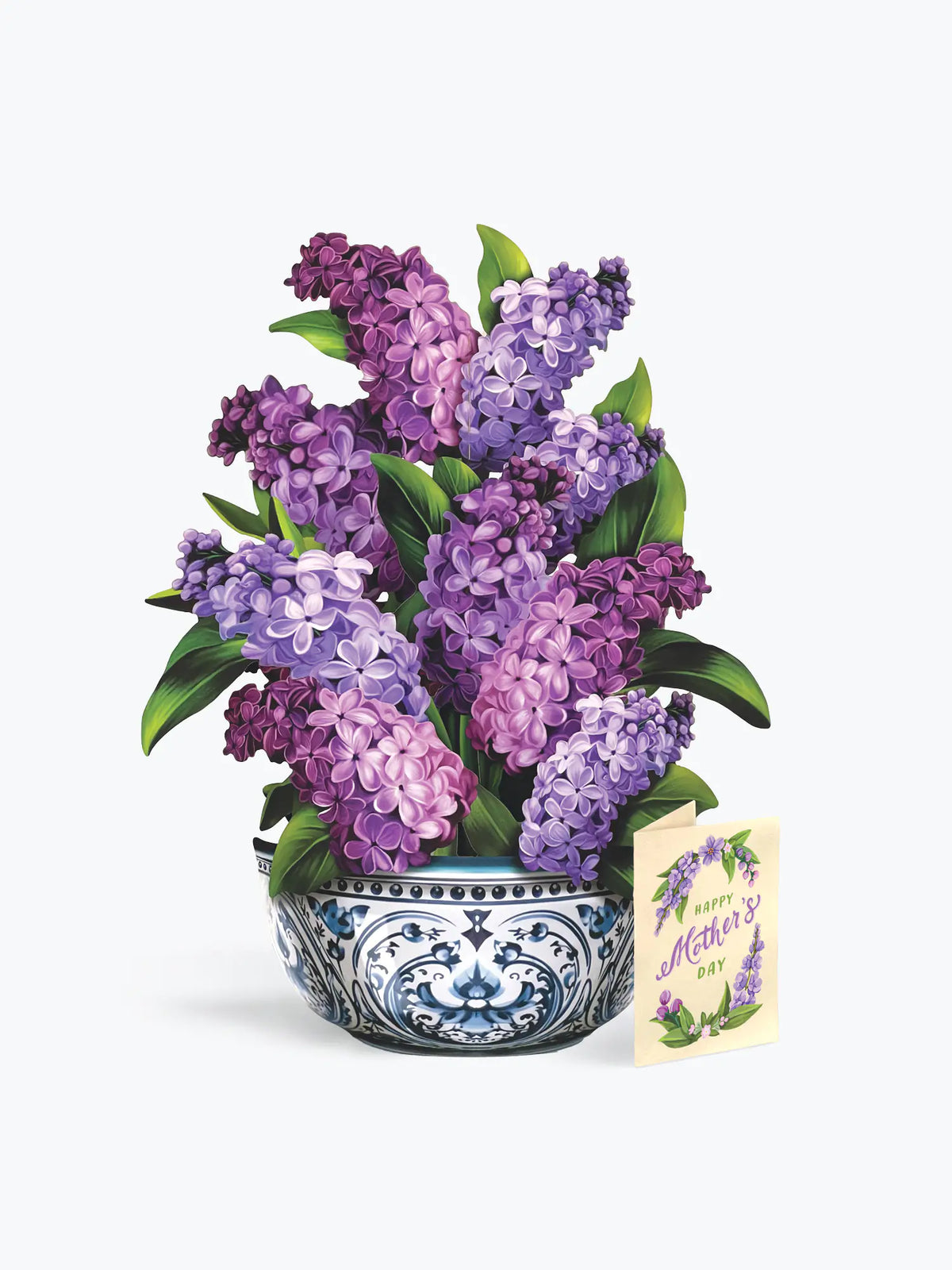 Mother's Day Garden Lilacs