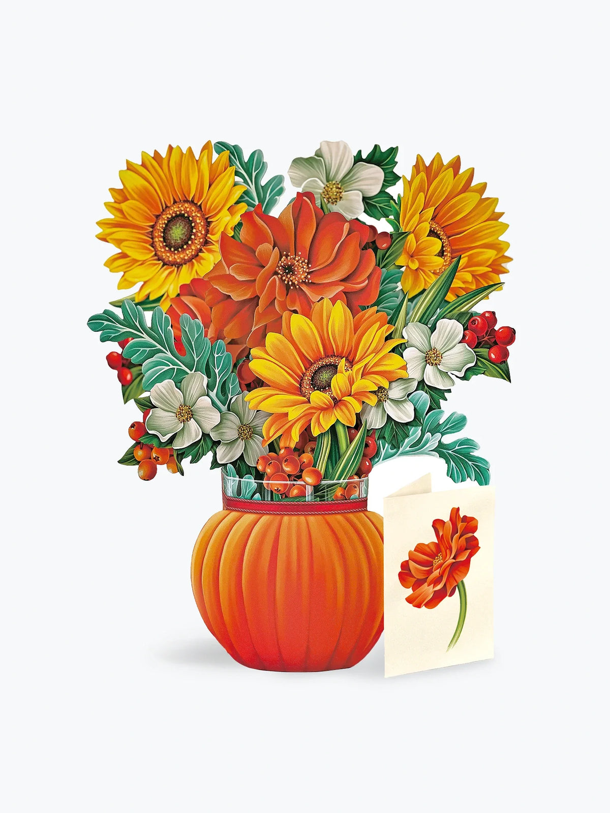 Pumpkin Harvest