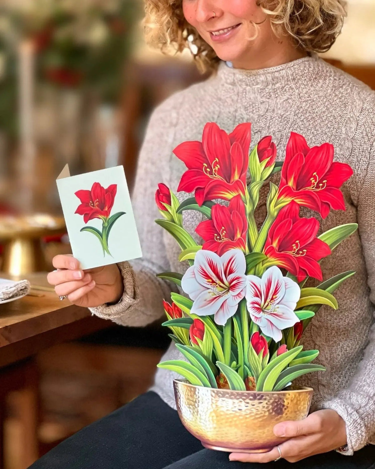 Christmas Scarlet Amaryllis